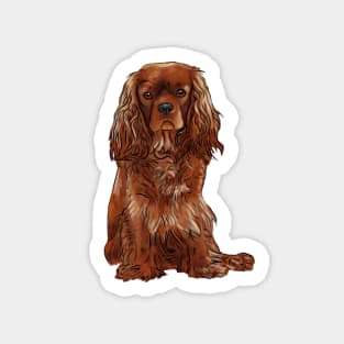 Cavalier King Charles Spaniel - Ruby Sticker